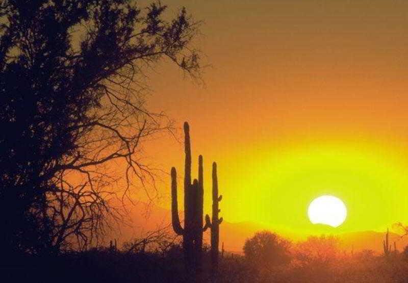 Courtyard By Marriott Phoenix North Esterno foto
